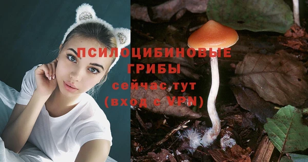 скорость Алзамай